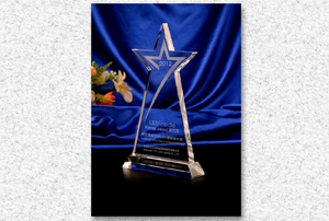 Best Commercial Space Lighting LED Design Award