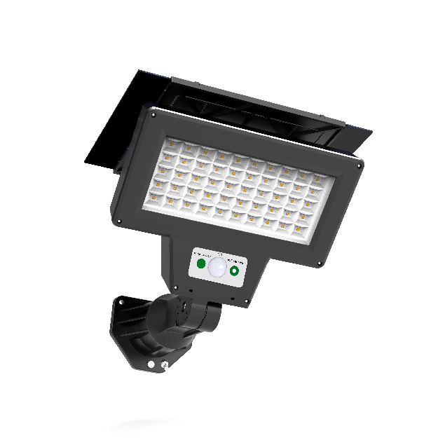 Solar Lighting
